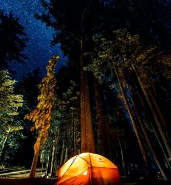 camping in forest during nightime